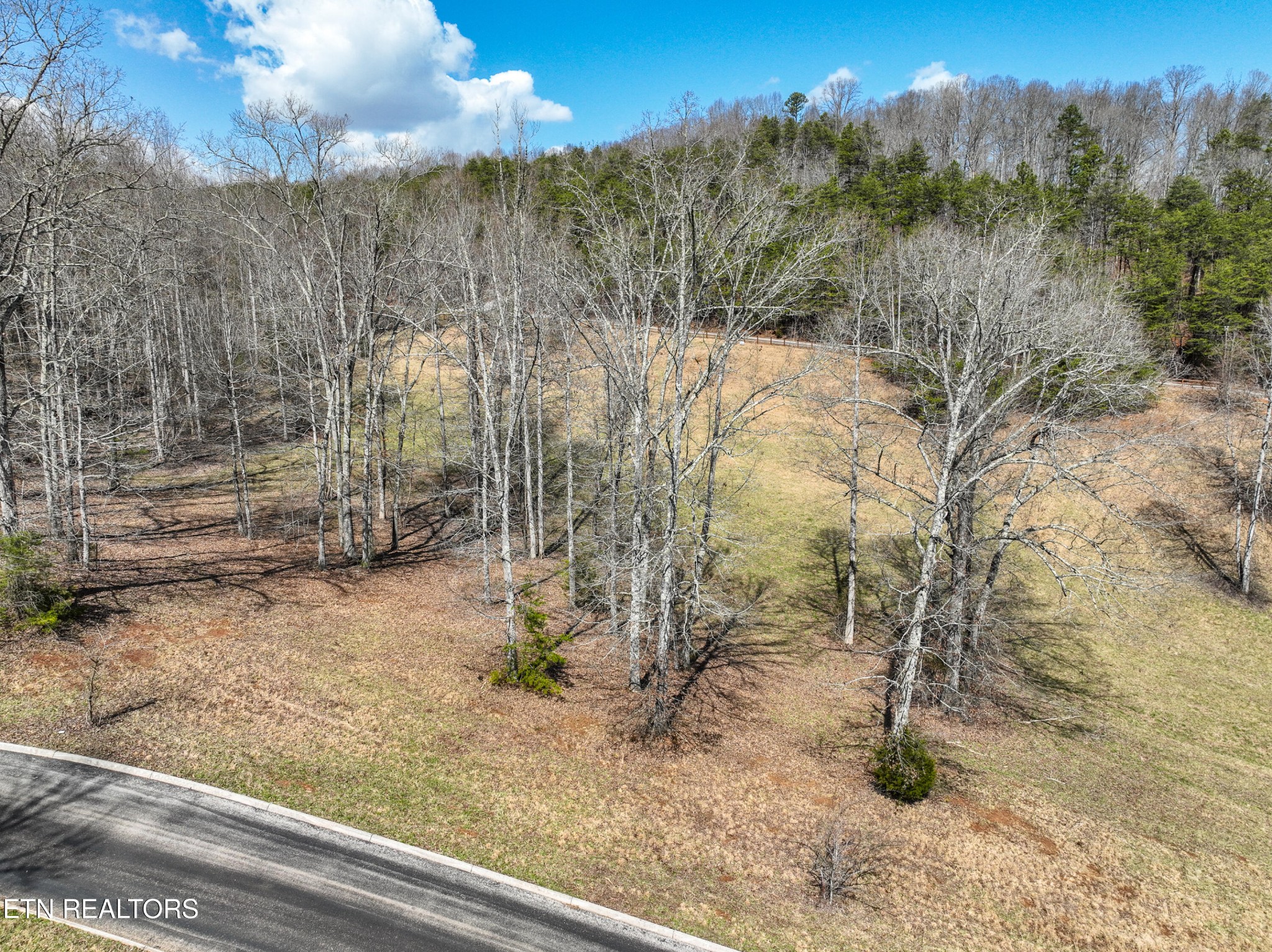 0 Springwater Run (Lot 34)