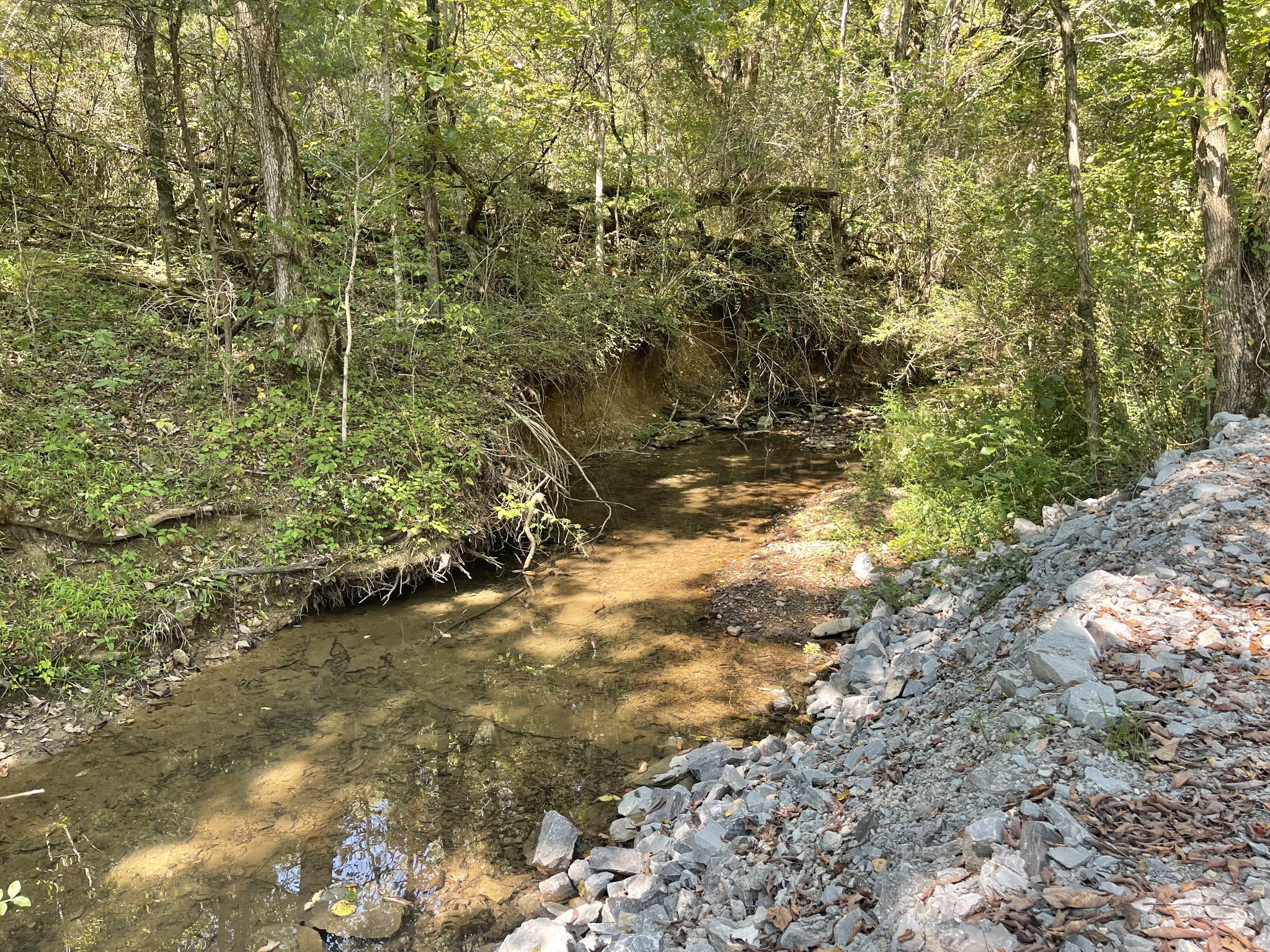 0 McBurg Dellrose Rd Tract 2