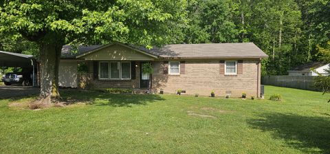 254 Willow Run, McMinnville, TN 37110 - MLS#: 2867603
