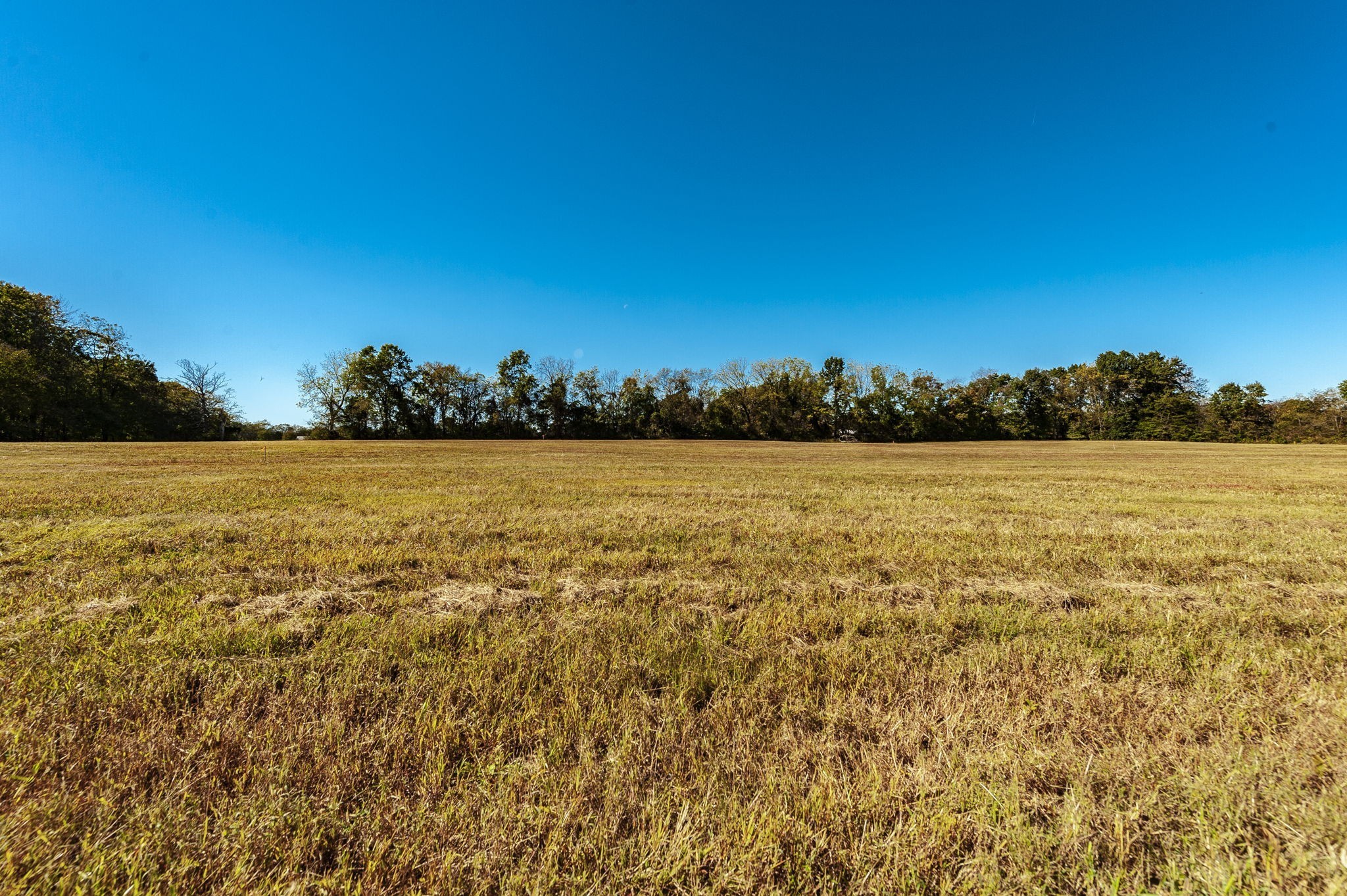 0 Highway 52E - Photo 3