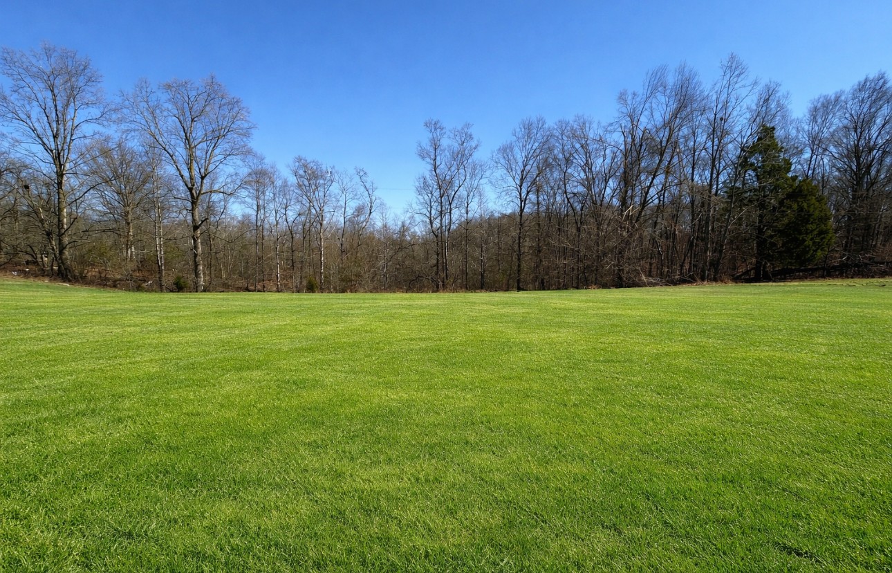 1028 Mount Vernon Rd