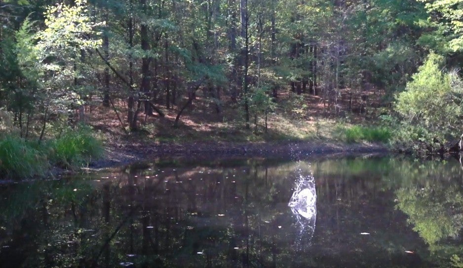 138 Vaughn Rd