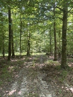 OLD UNION CHURCH RD, HOLLADAY, TN 38341 - Image 358ff8564d82fd05f1e6cfbd9e44f9aa/88322970