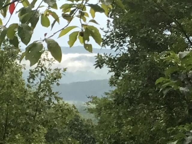 260 Deer Ridge Trail