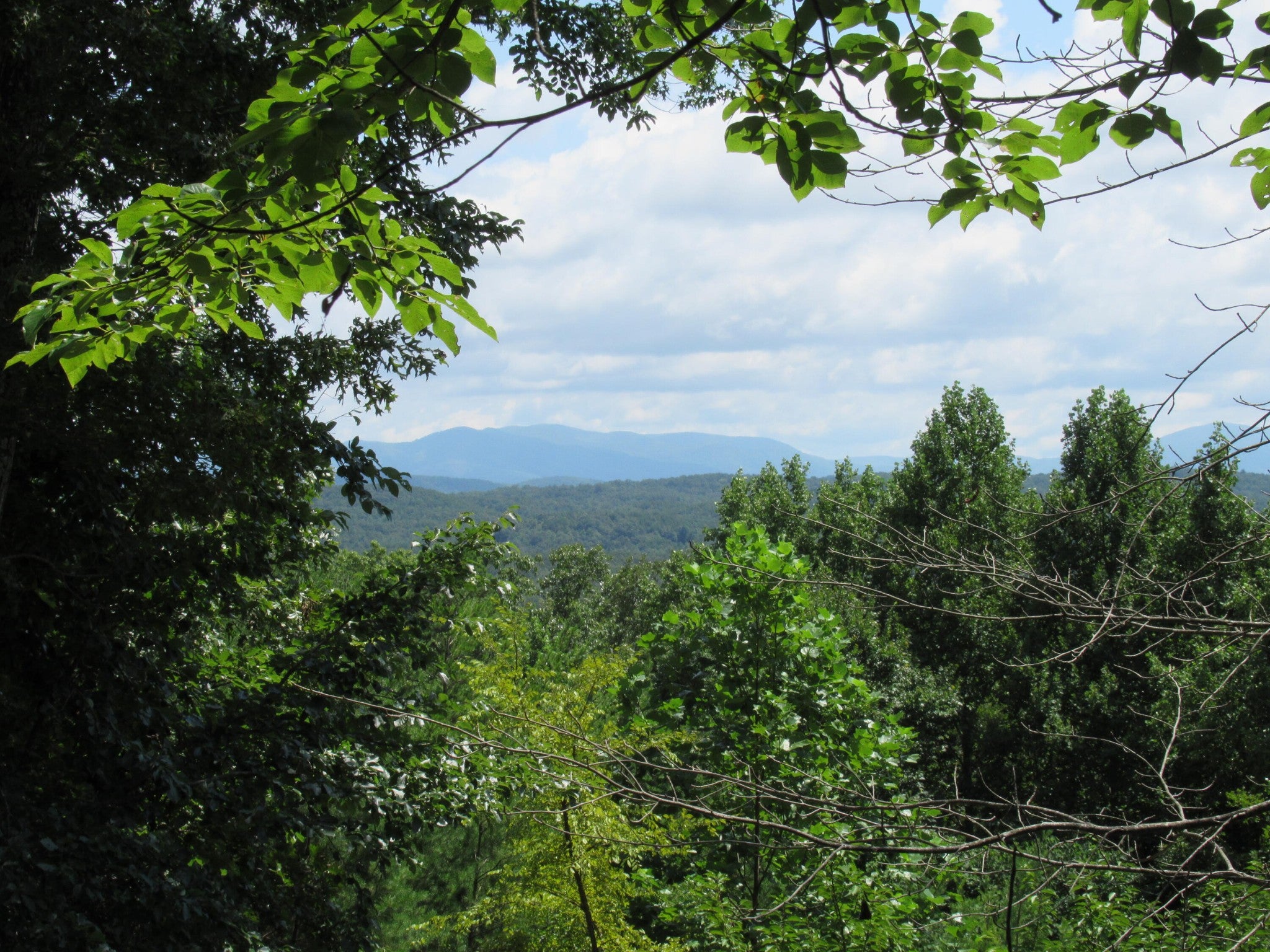 260 Deer Ridge Trail