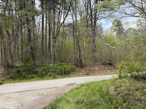 0 Myers Hill Rd Tracy City TN 37387