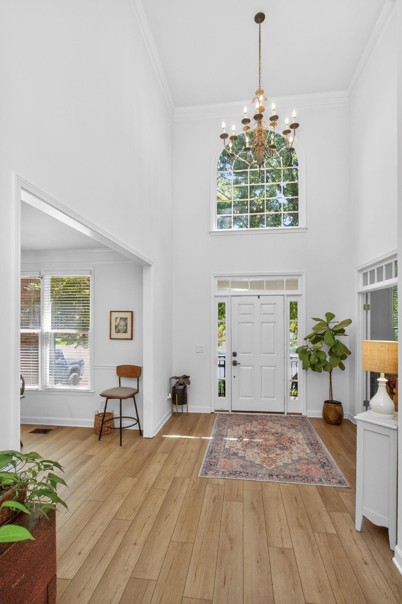 118 Carphilly Cir