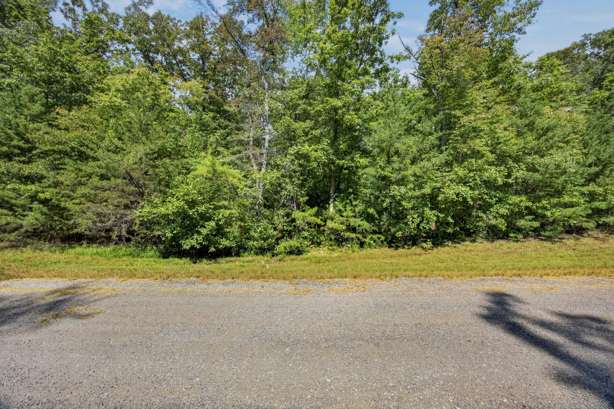 12 Mountain Ash Dr