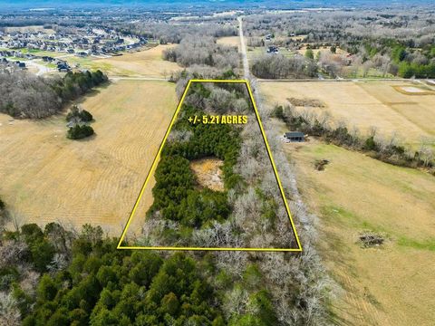 1 Rucker Road Christiana TN 37037