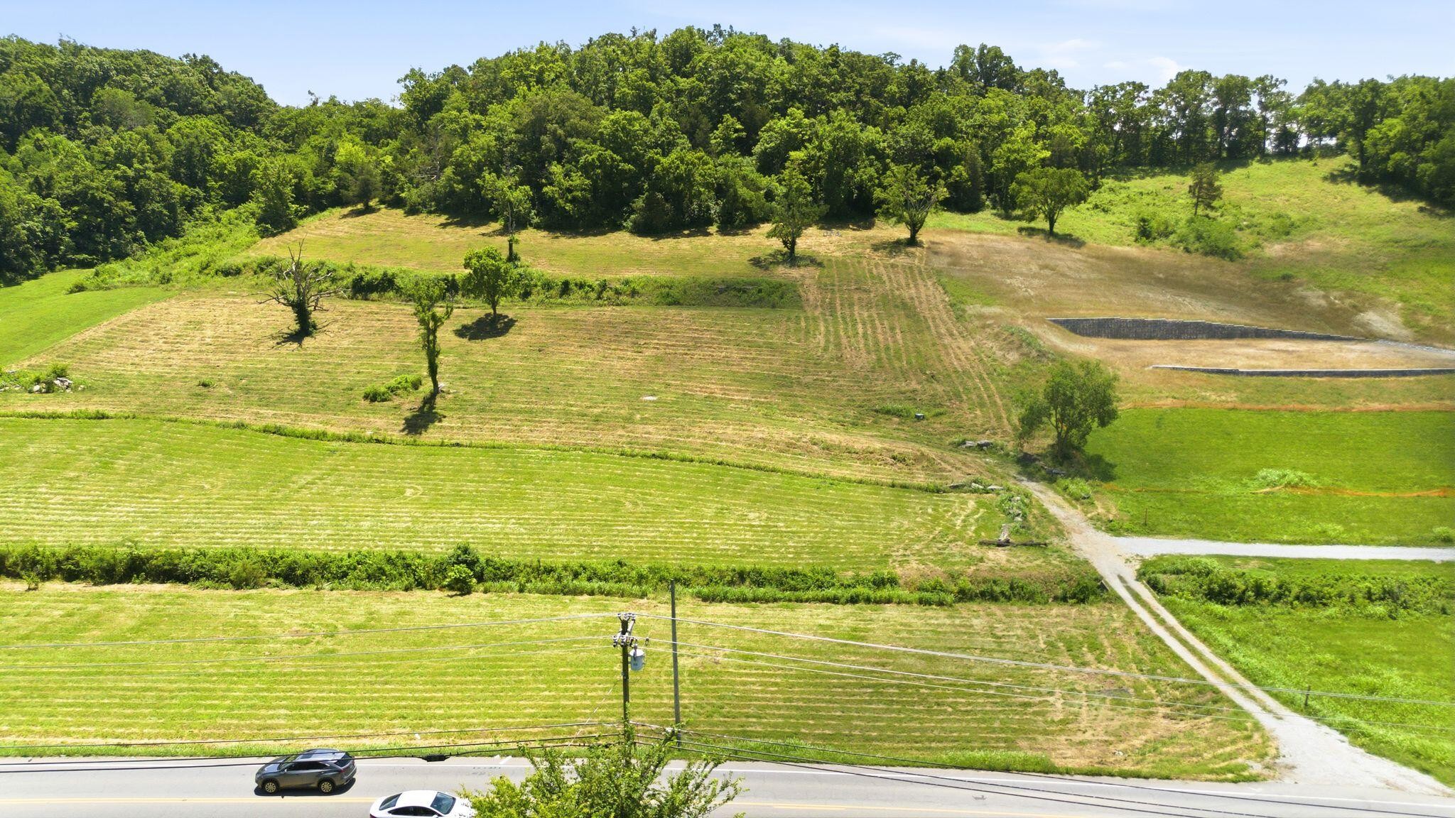 1952 Carters Creek Pike, Franklin TN 37064 0-bed lot, photo 2 of 5