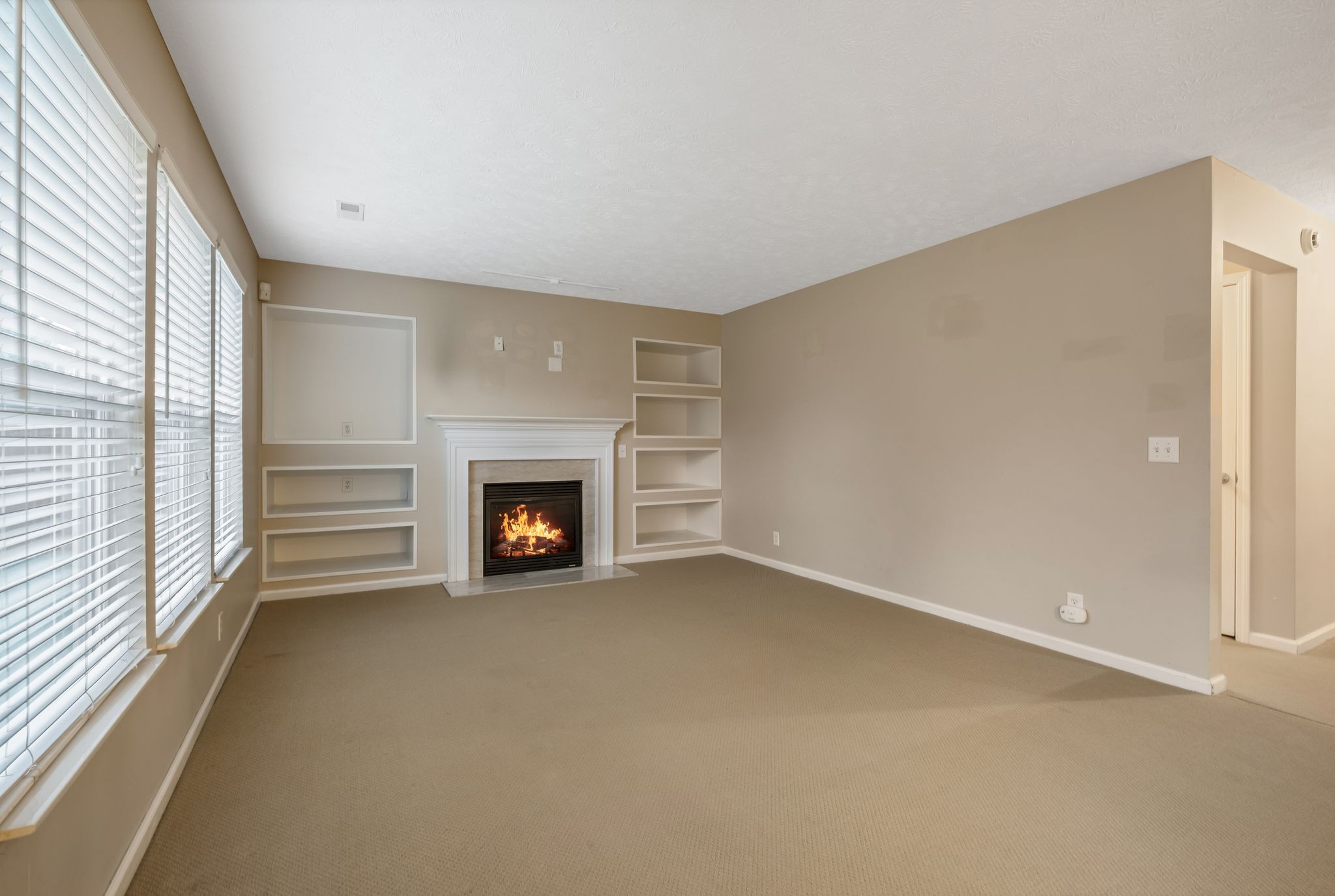 905 Arbor Springs Dr
