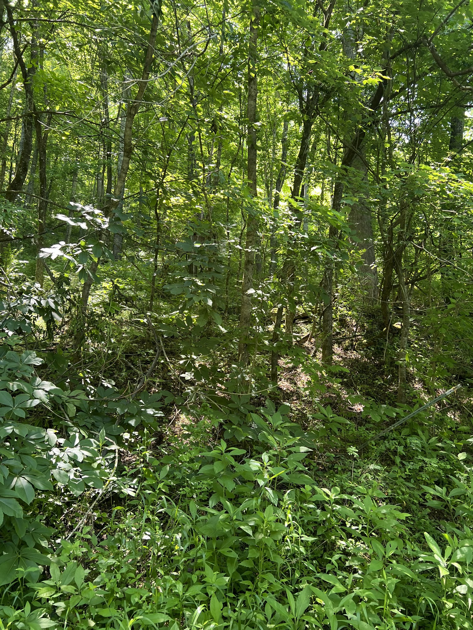 0 Peytons Creek Rd