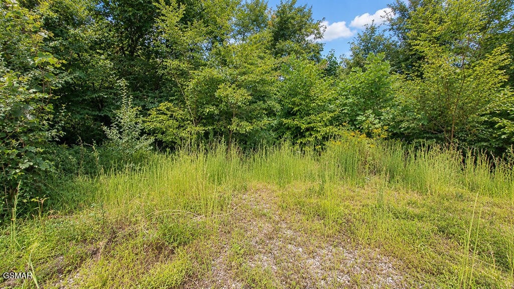 616 Wiley Oakley Drive