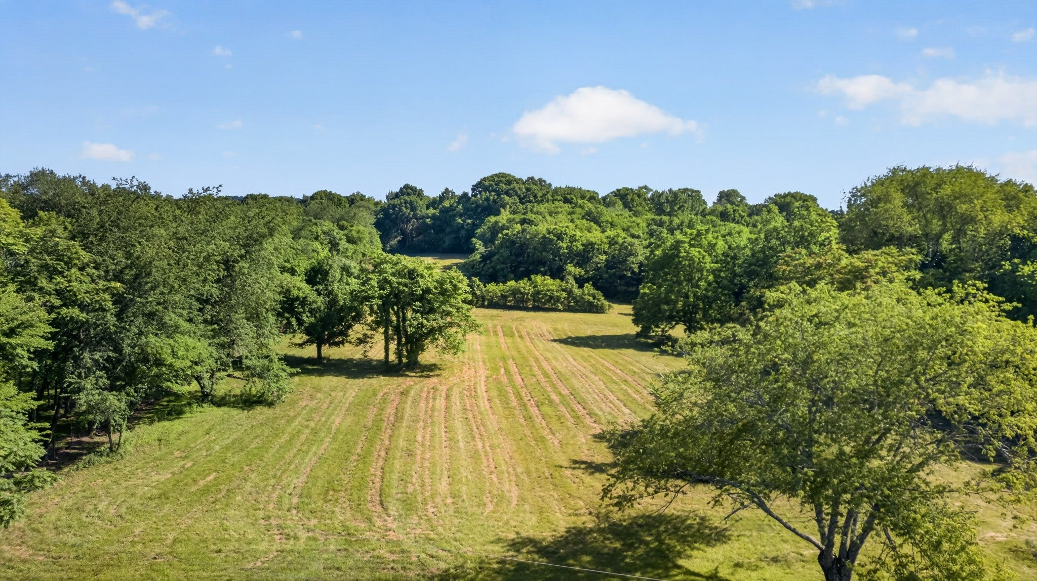 0-bed lot for sale in College Grove, TN 37046, 8992 Horton Hwy 8992 Horton Hwy, College Grove TN 37046 0-bed lot, photo 1 of 60