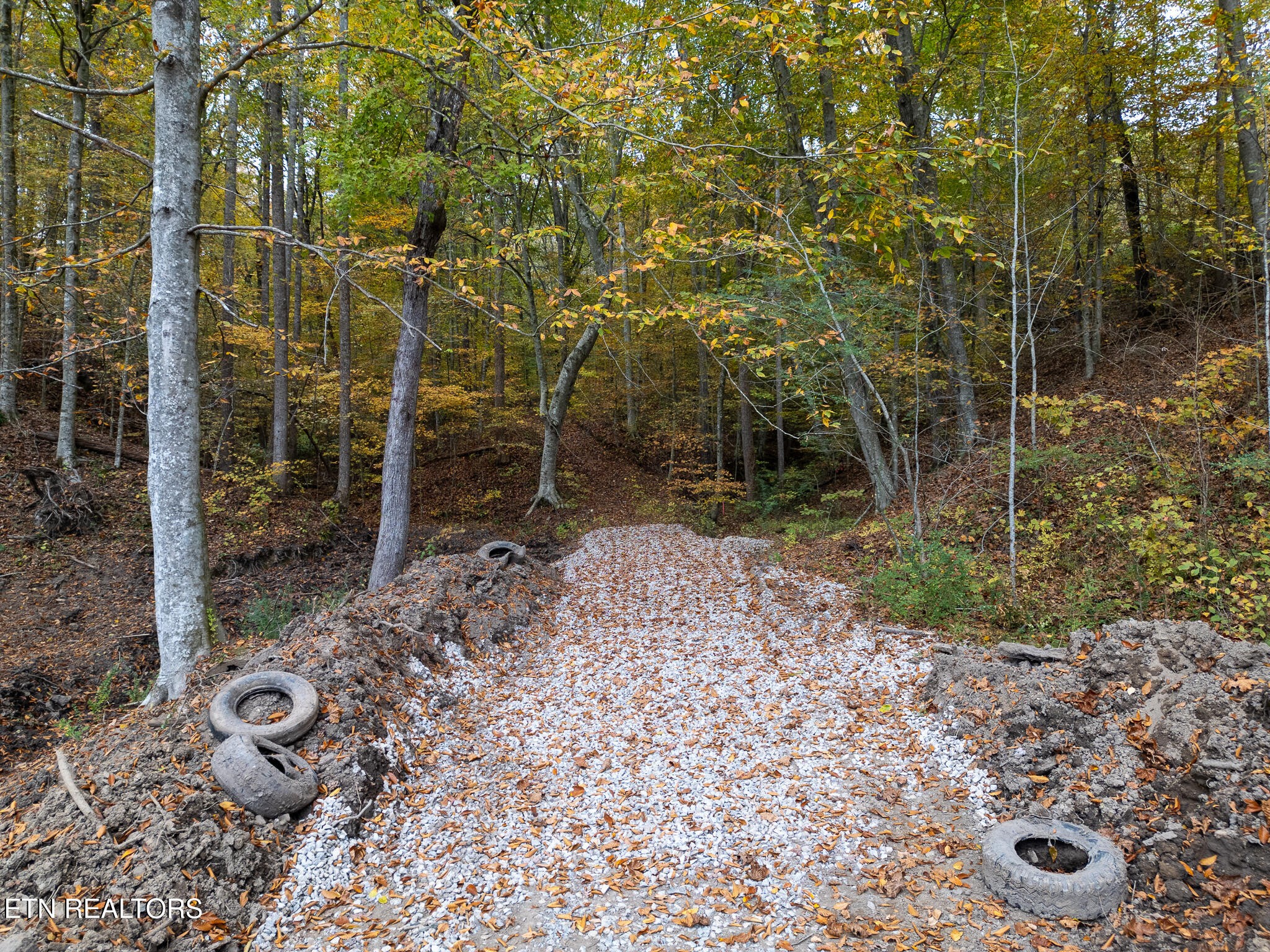 2 W Bullrun Valley Drive