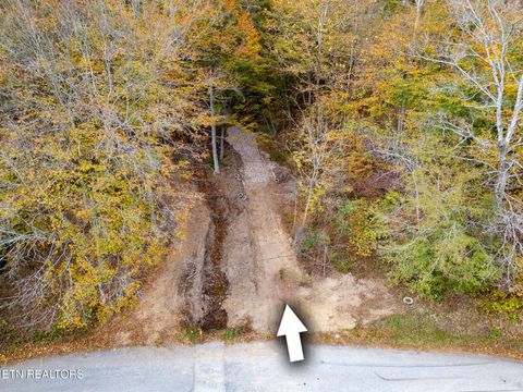 2 W Bullrun Valley Drive Heiskell TN 37754