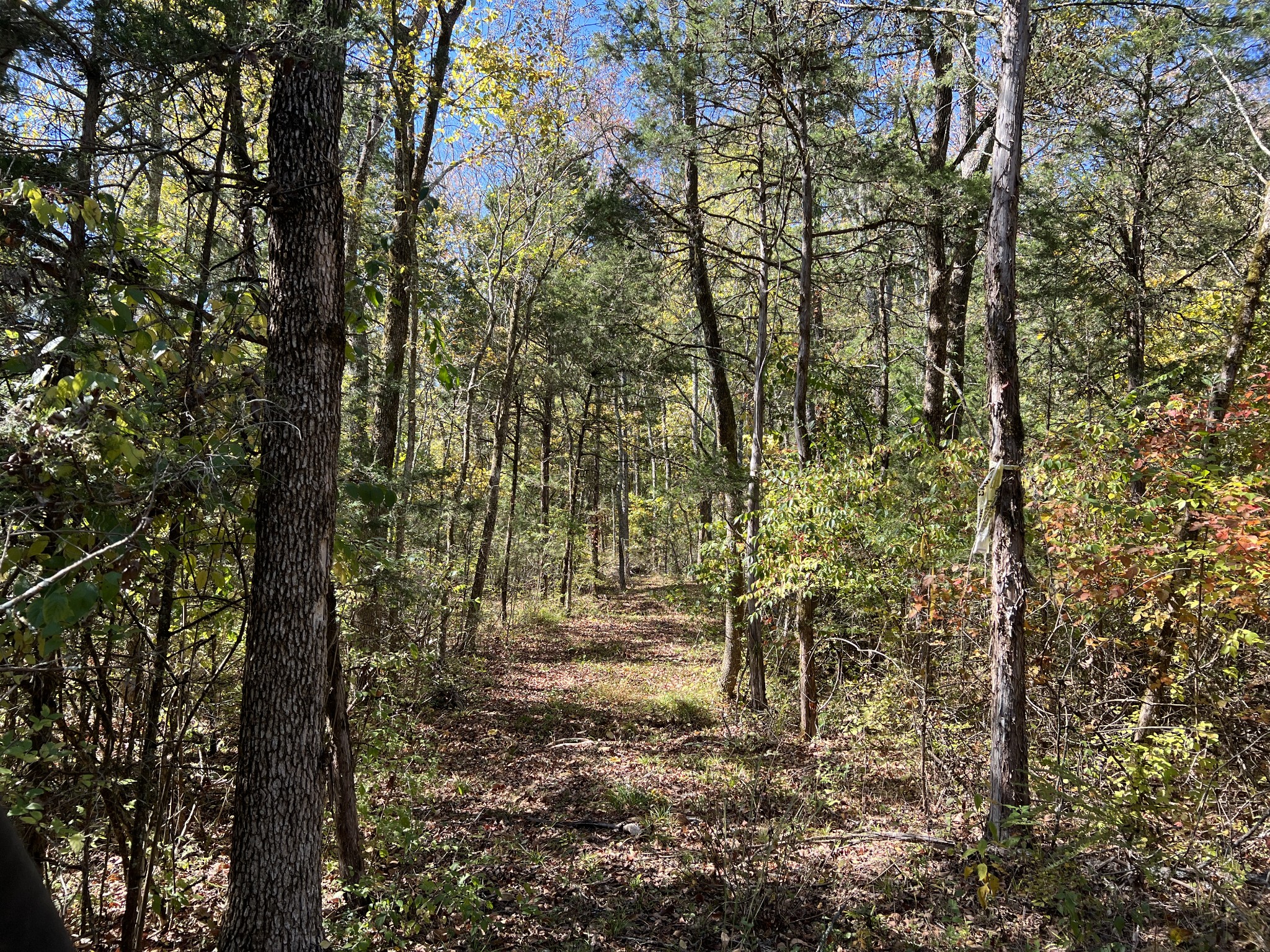 10515 Paw Paw Springs Rd