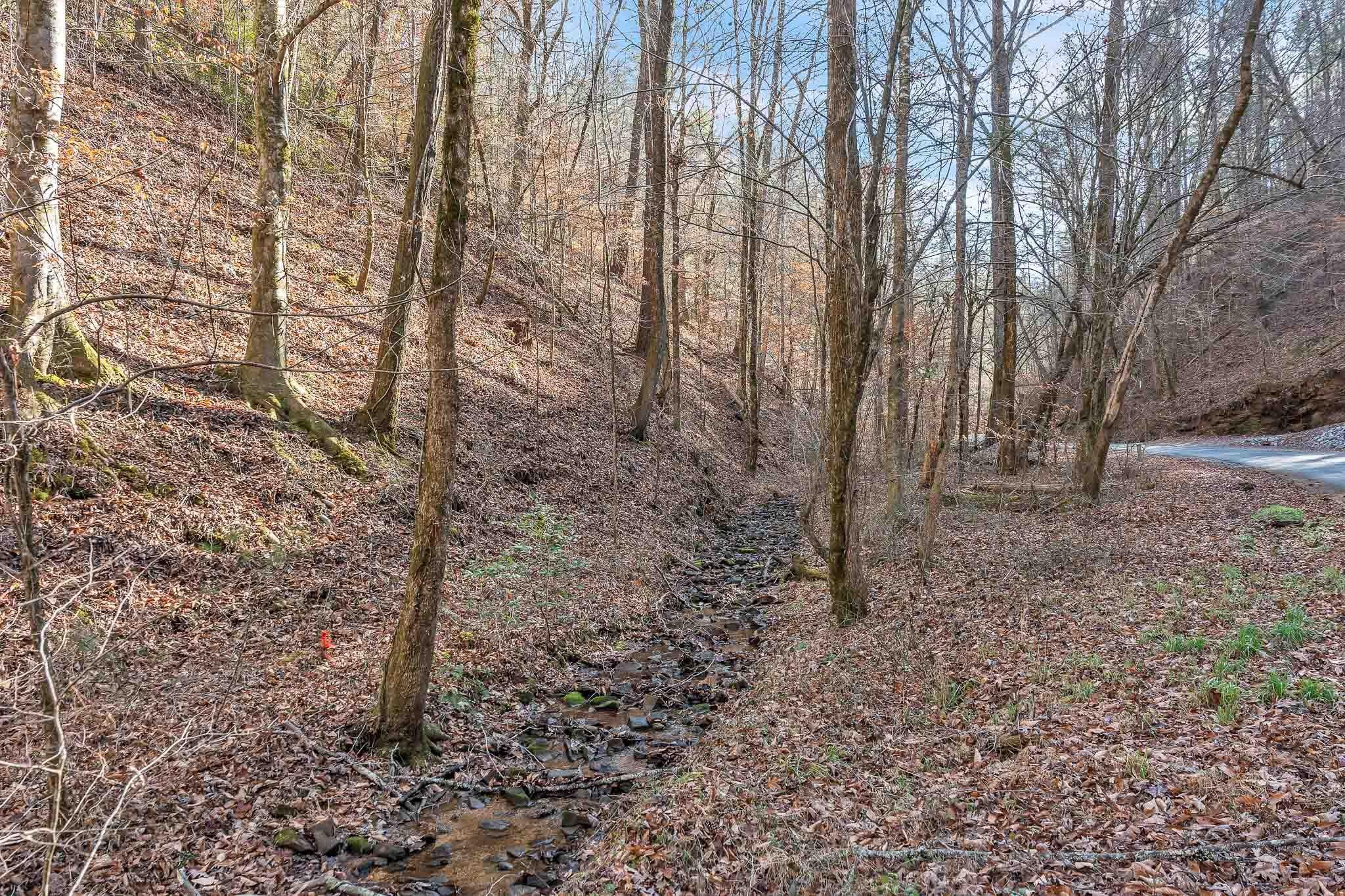1559 Spring Creek Road