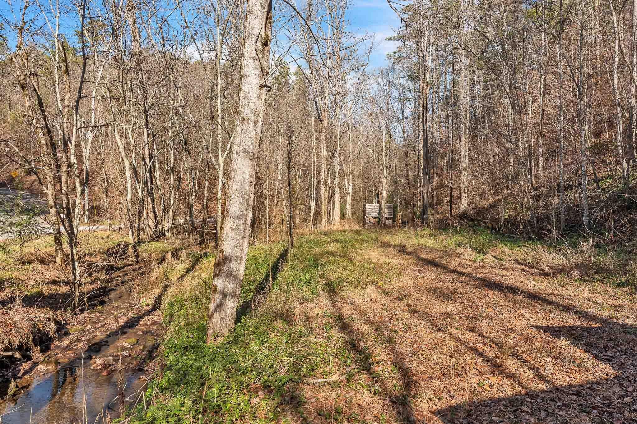1559 Spring Creek Road