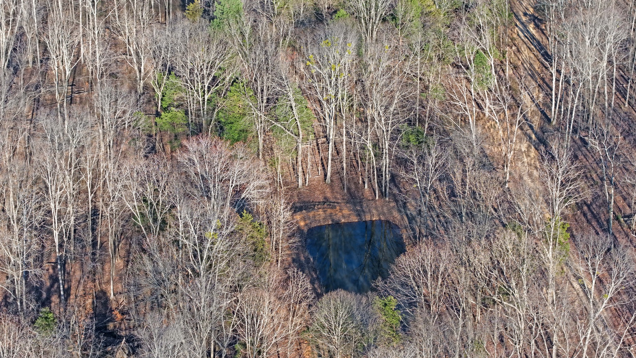 4 Oak Ridge Rd