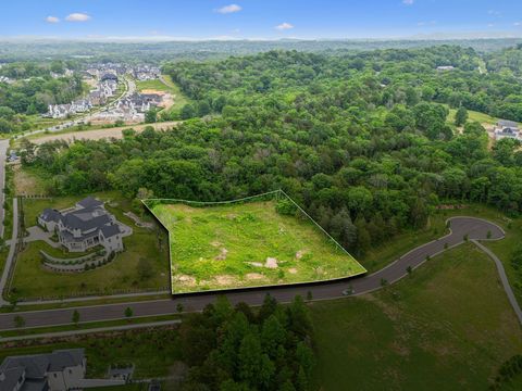 8906 Dovetail Ct College Grove TN 37046