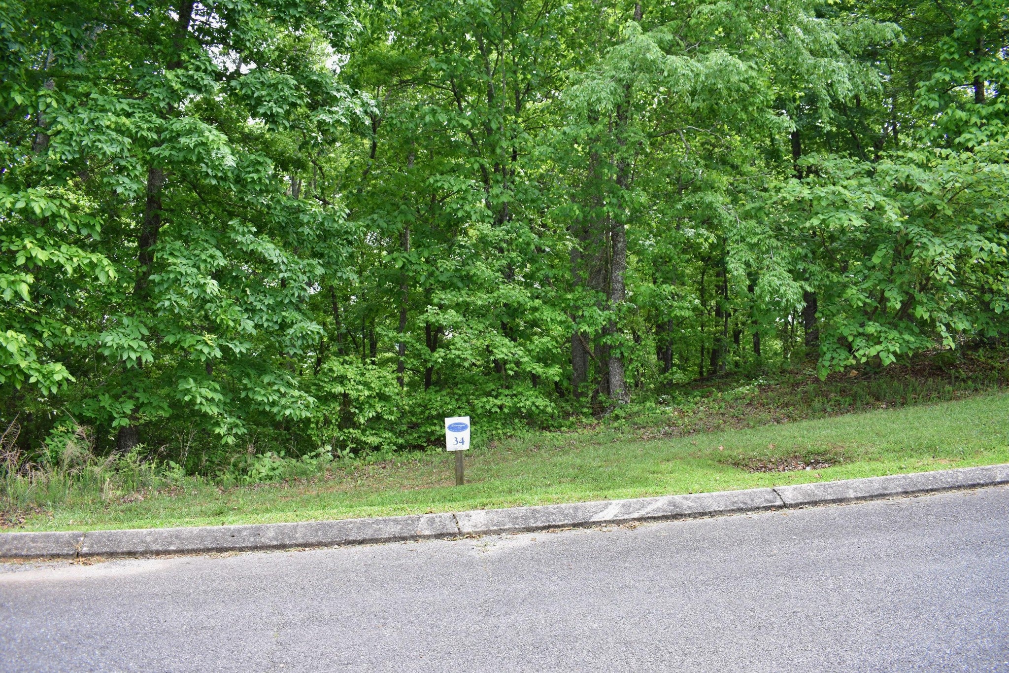 450 Hidden Forest Trail