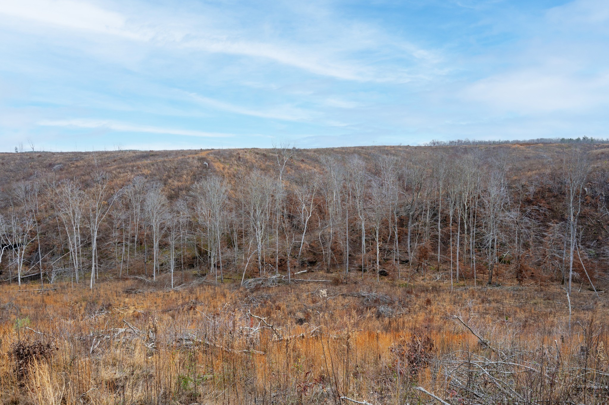 1455 Little Swan Creek Rd