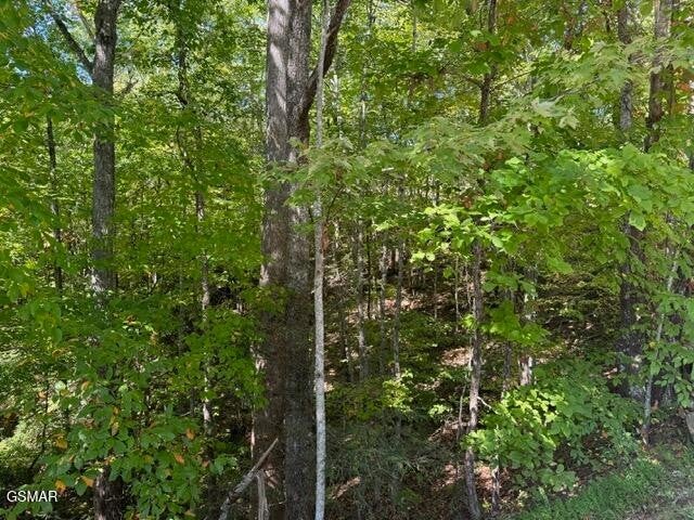 17 Deer Path Lane