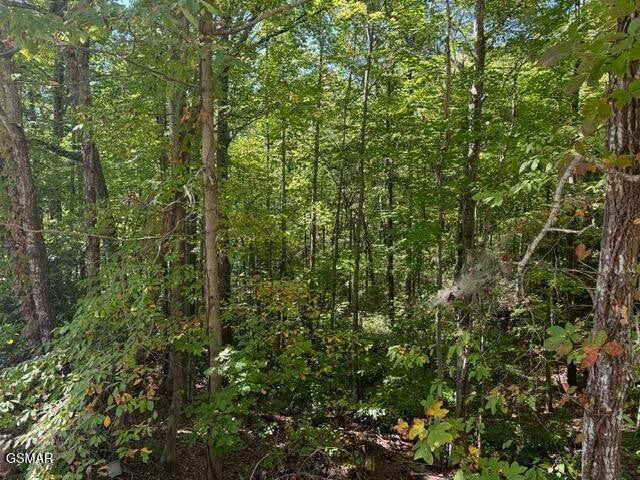 17 Deer Path Lane