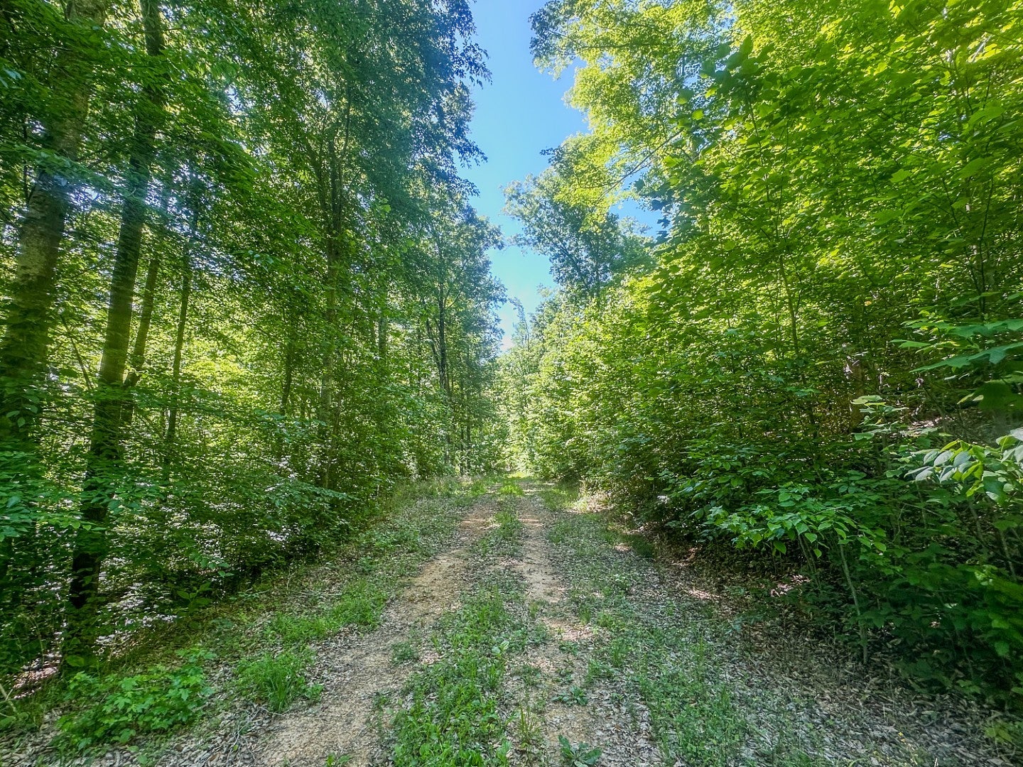 0 Mayberry Prong Road