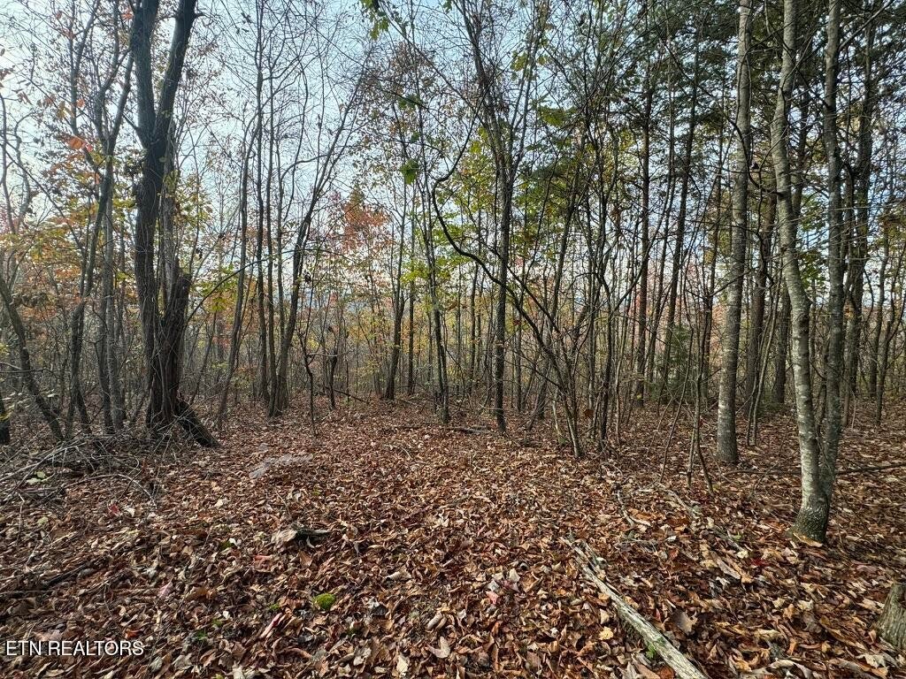 0 Three Point Rd