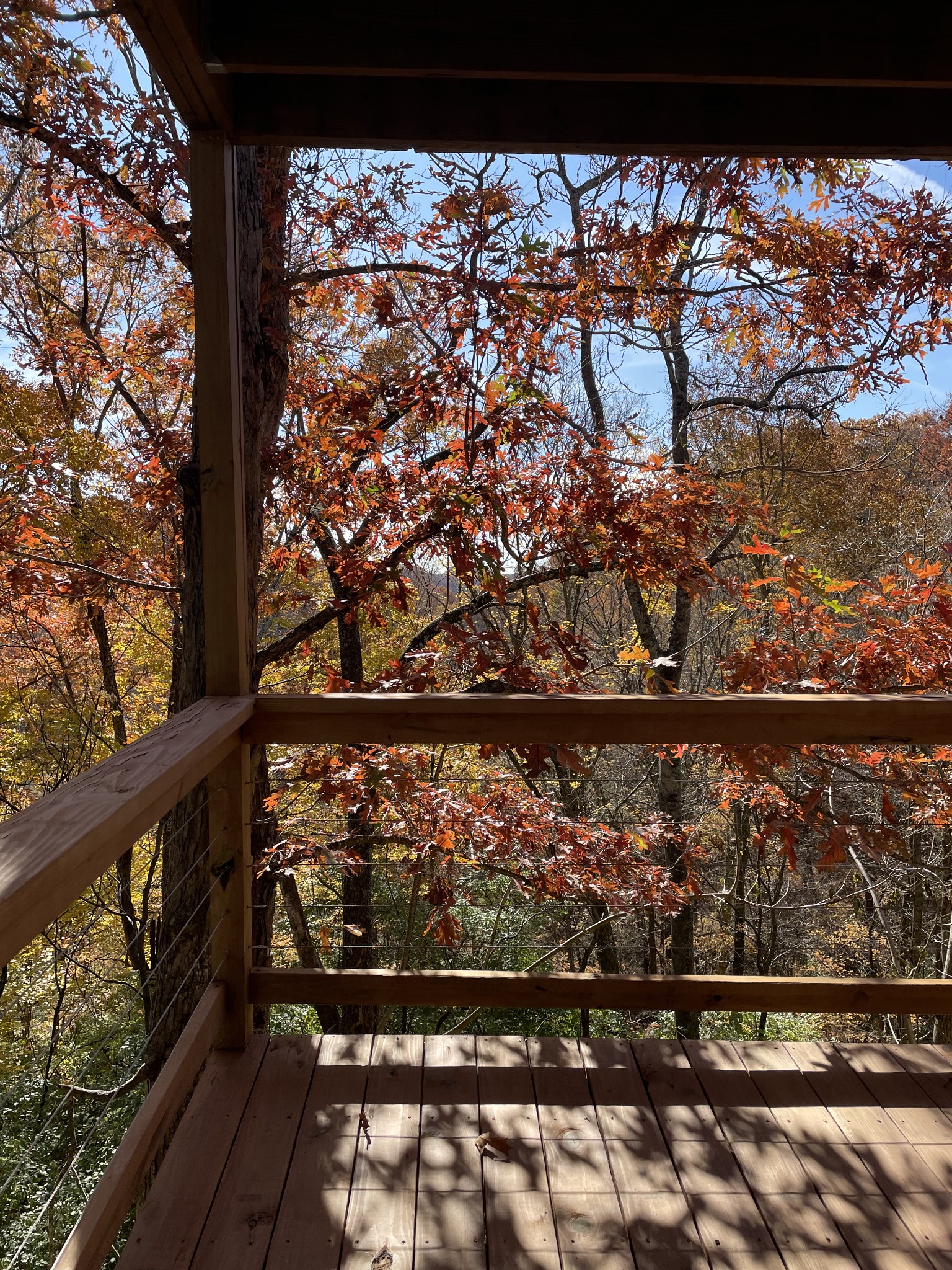 116 Harpeth Trace Ct