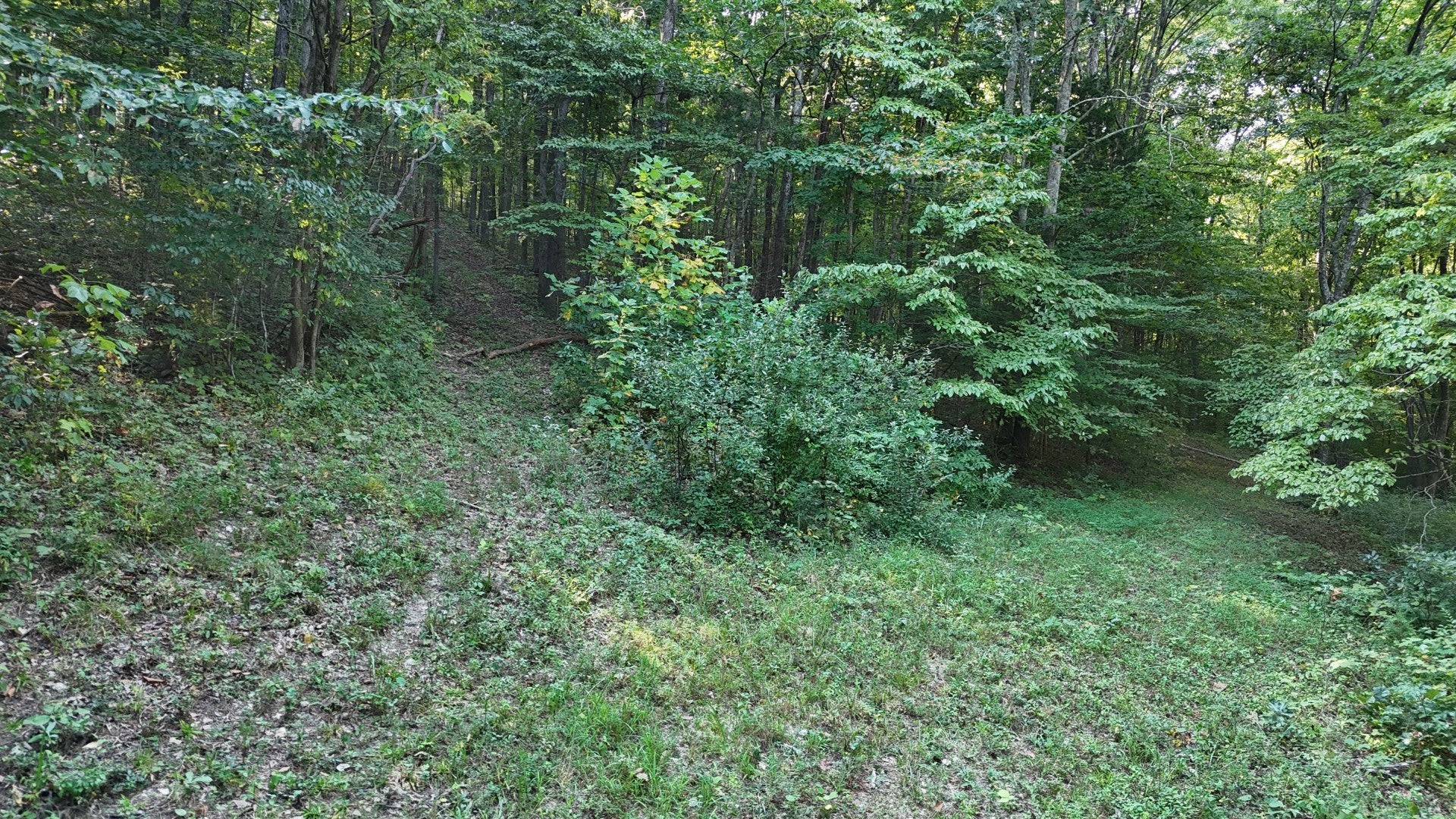 3655 Lyndell Bell Rd