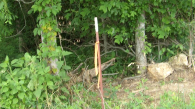 0 Livingston Hwy