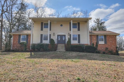 234 Bluegrass Cir Lebanon TN 37090