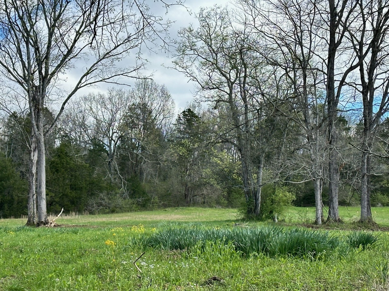 0 Campbellsville Road