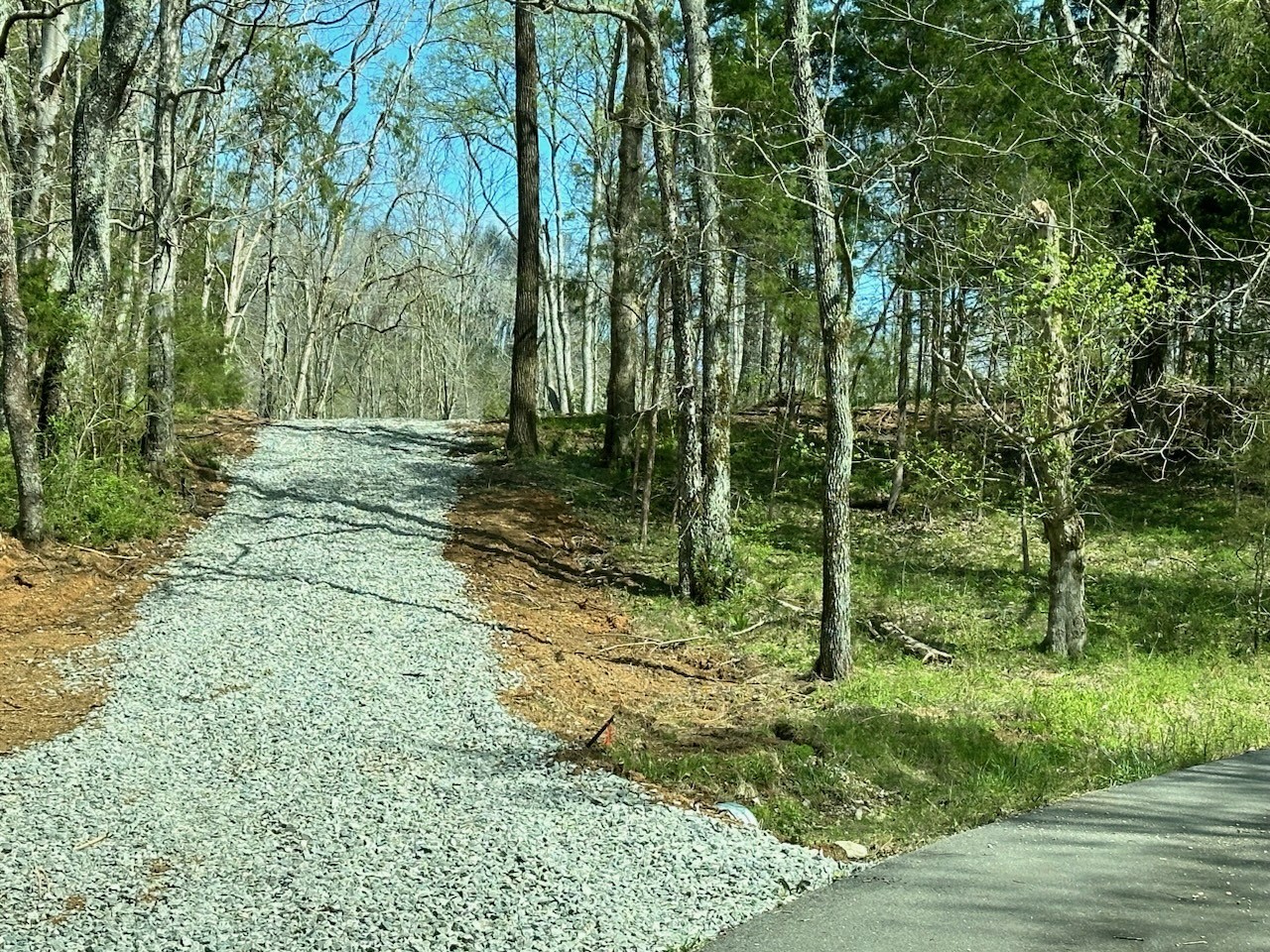 0 Campbellsville Road