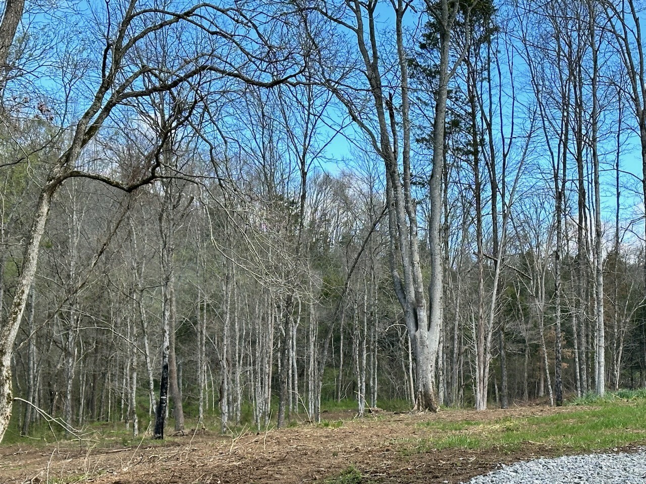 0 Campbellsville Road