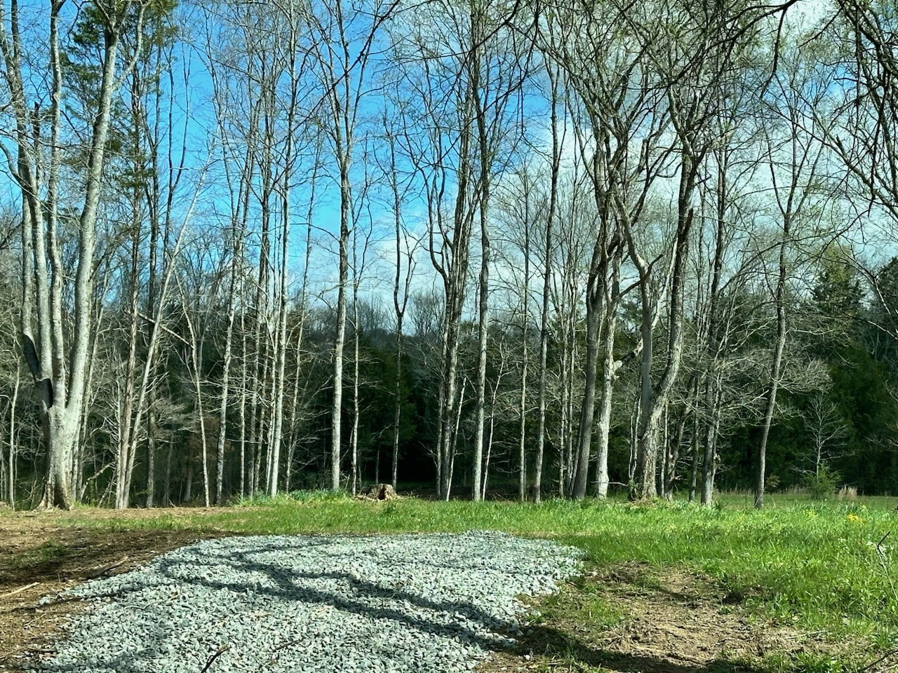 0 Campbellsville Road