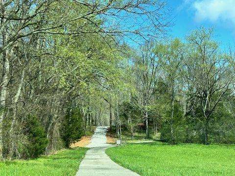 Photo of 0 Campbellsville Road, Pulaski, TN 38478 (MLS # 3168340)