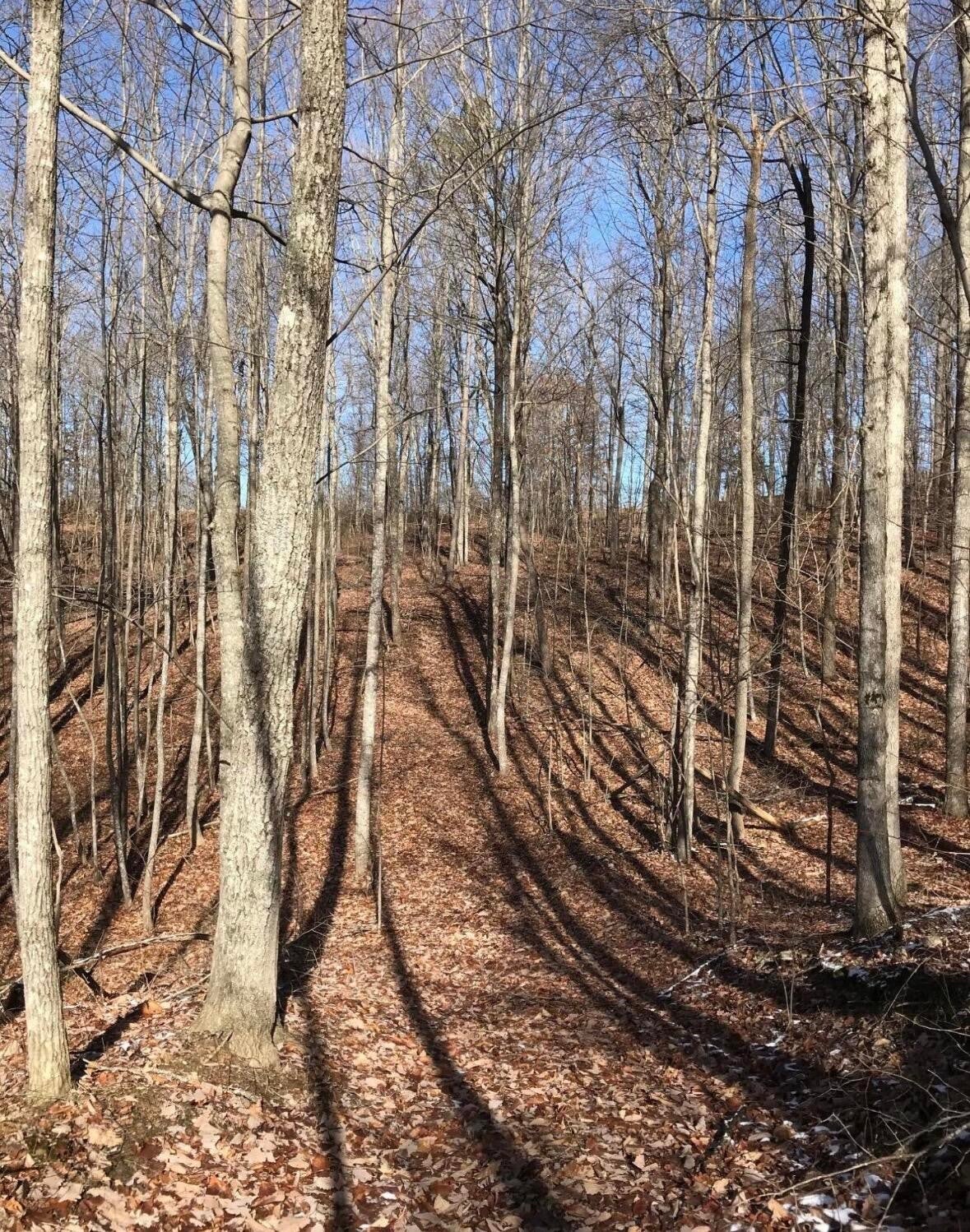 0 Chestnut Oak Drive
