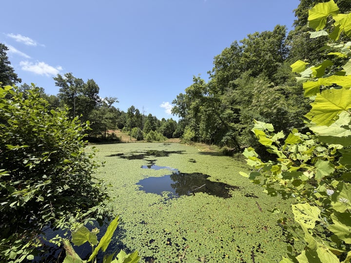 Photo 1 of 51 — 215 Bar Bee Rd, Hohenwald, TN 38462