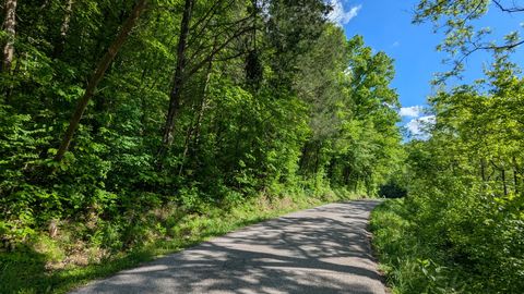 0 Wolf Hill Rd Bethpage TN 37022