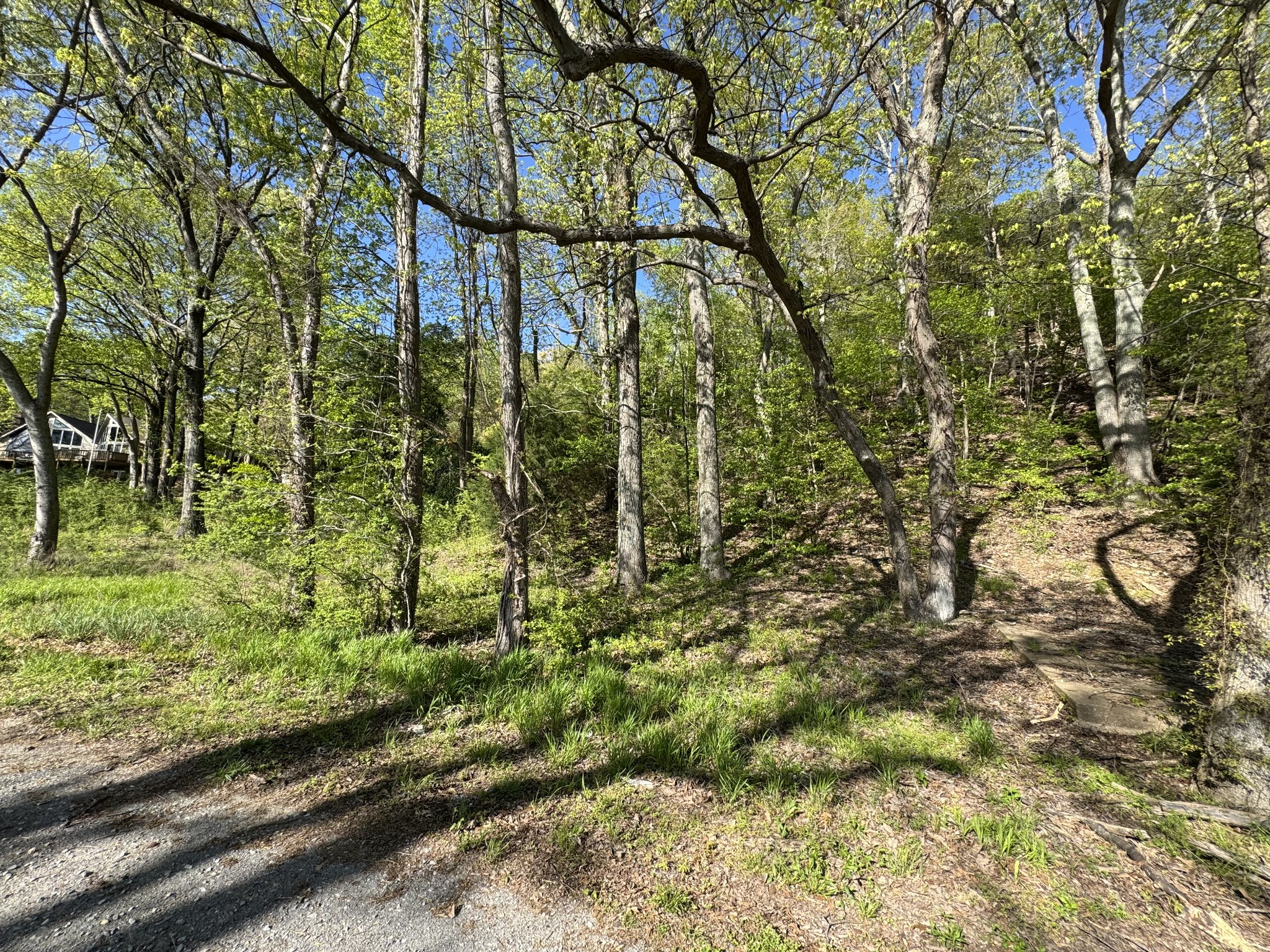 890 Lakefront Dr