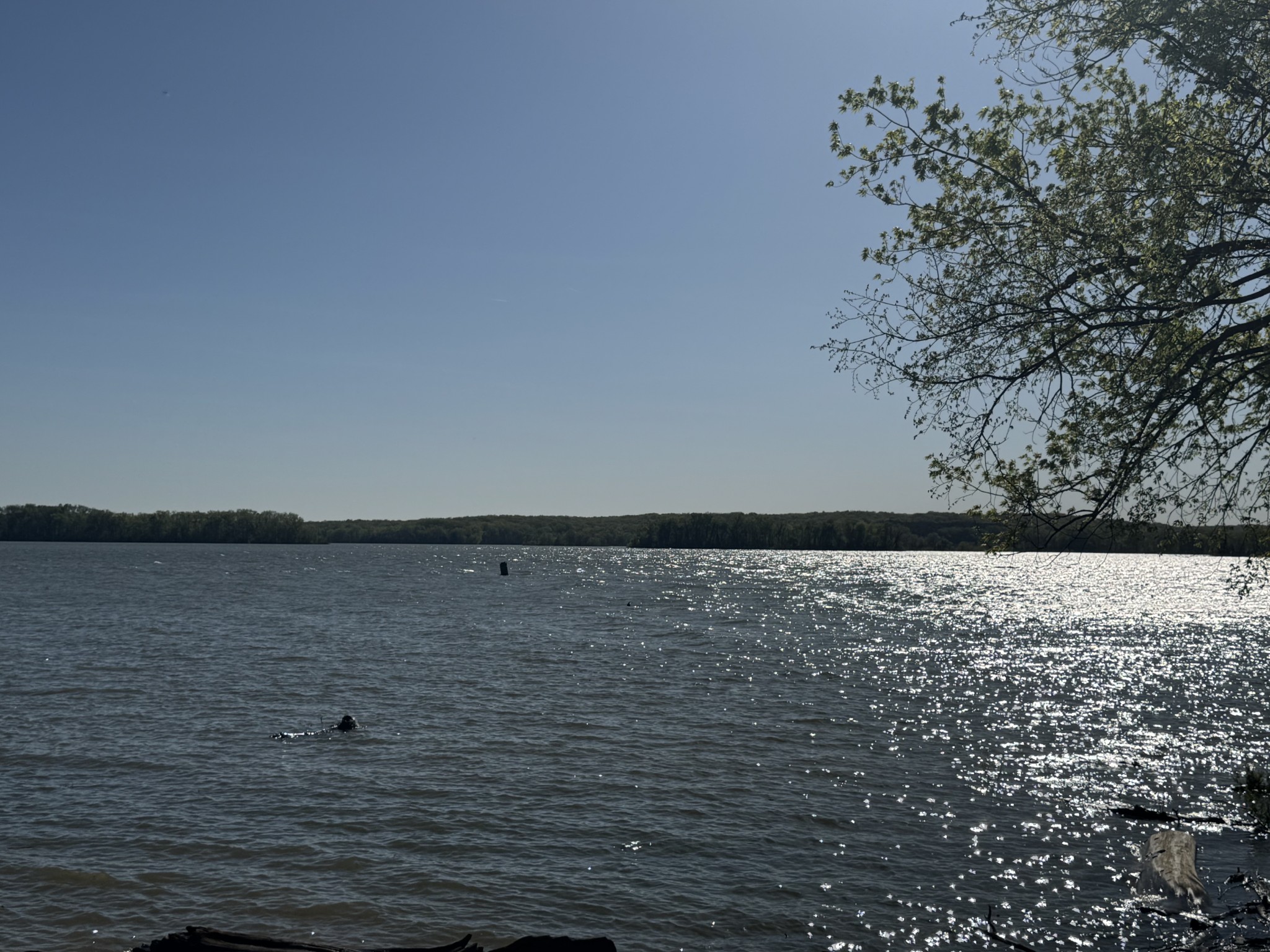 890 Lakefront Dr