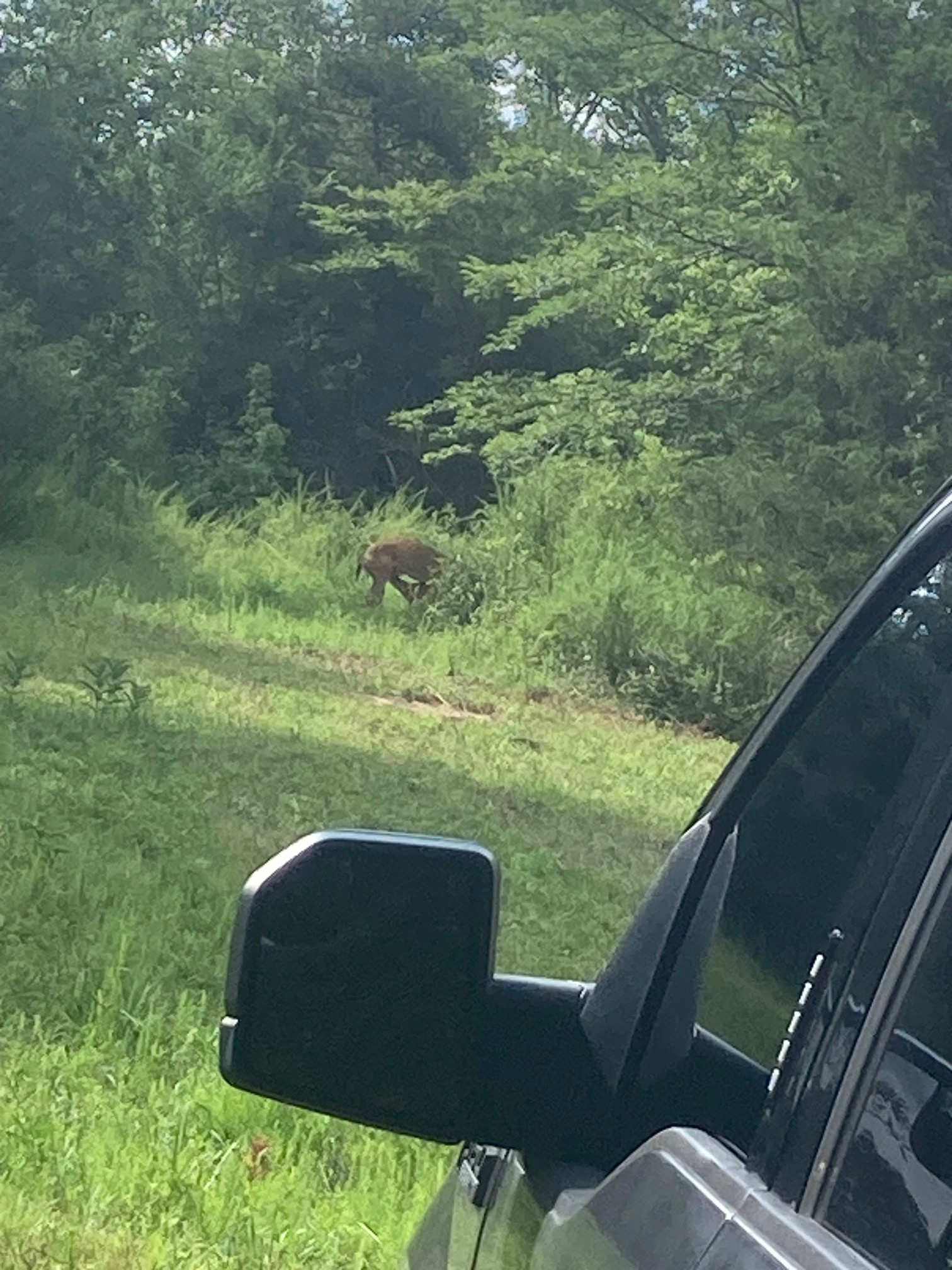 3264 Martin Hollow Rd