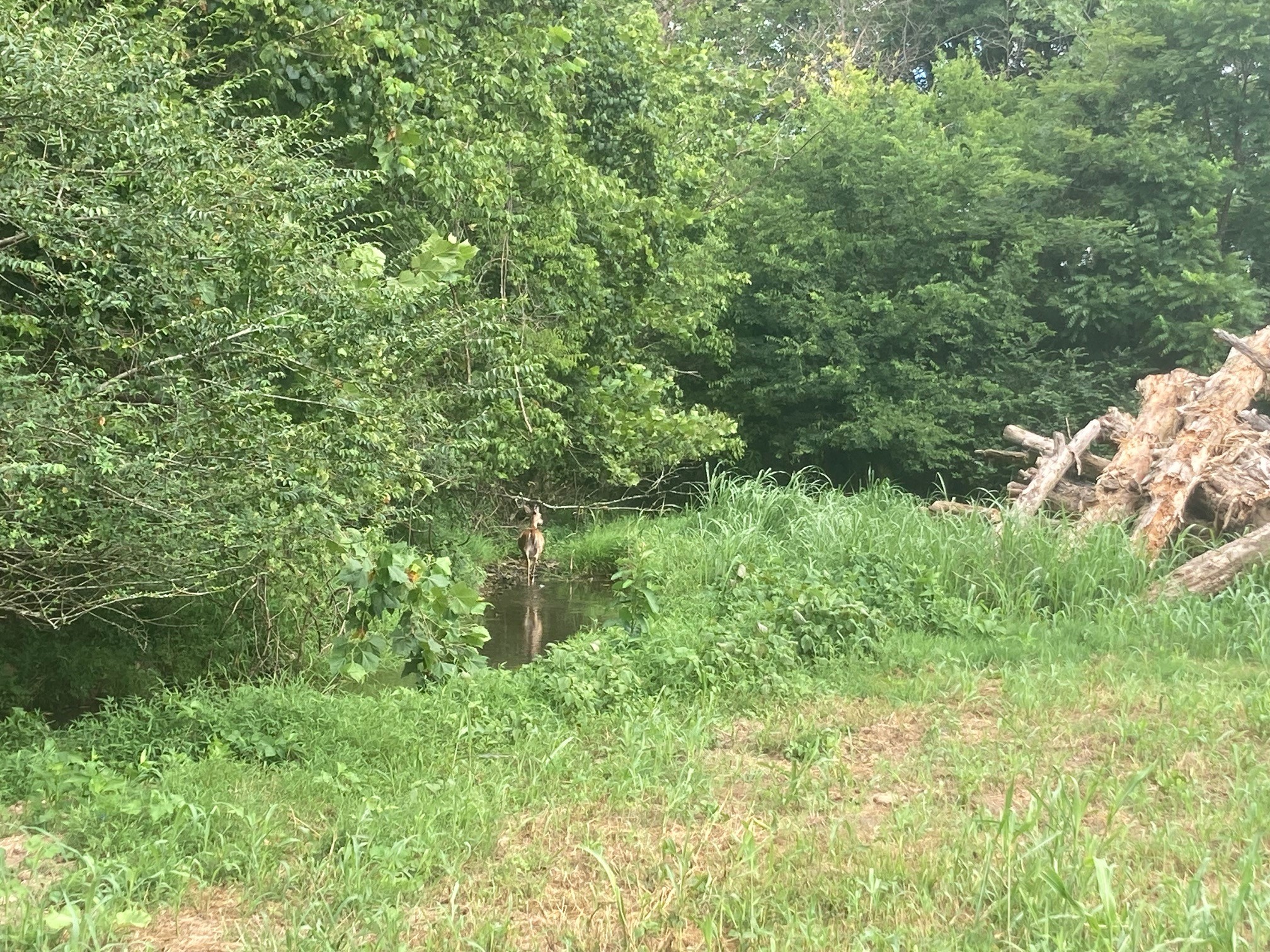 3264 Martin Hollow Rd