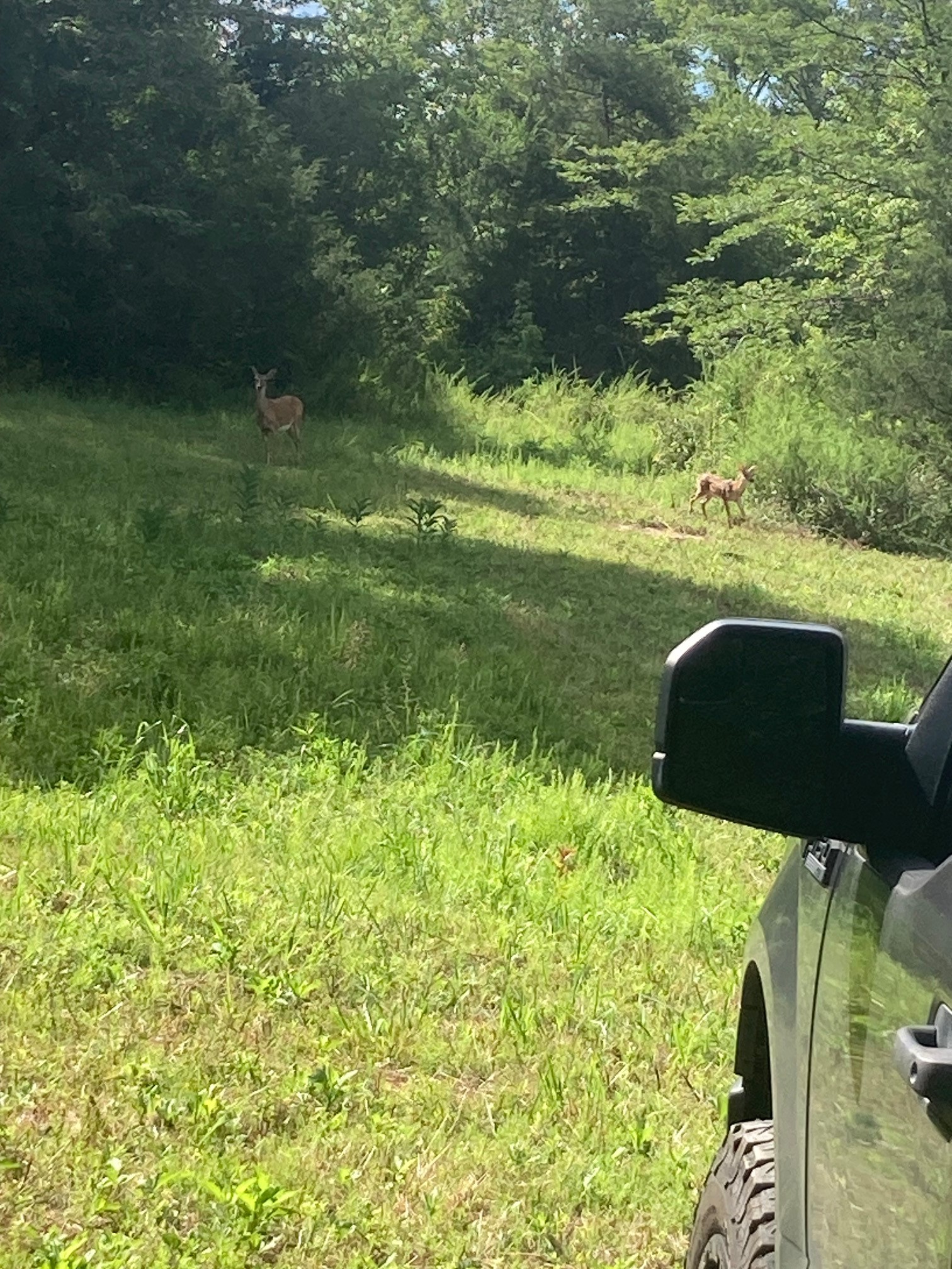 3264 Martin Hollow Rd