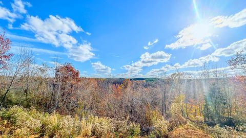 0 Lick Creek Road Linden TN 37096