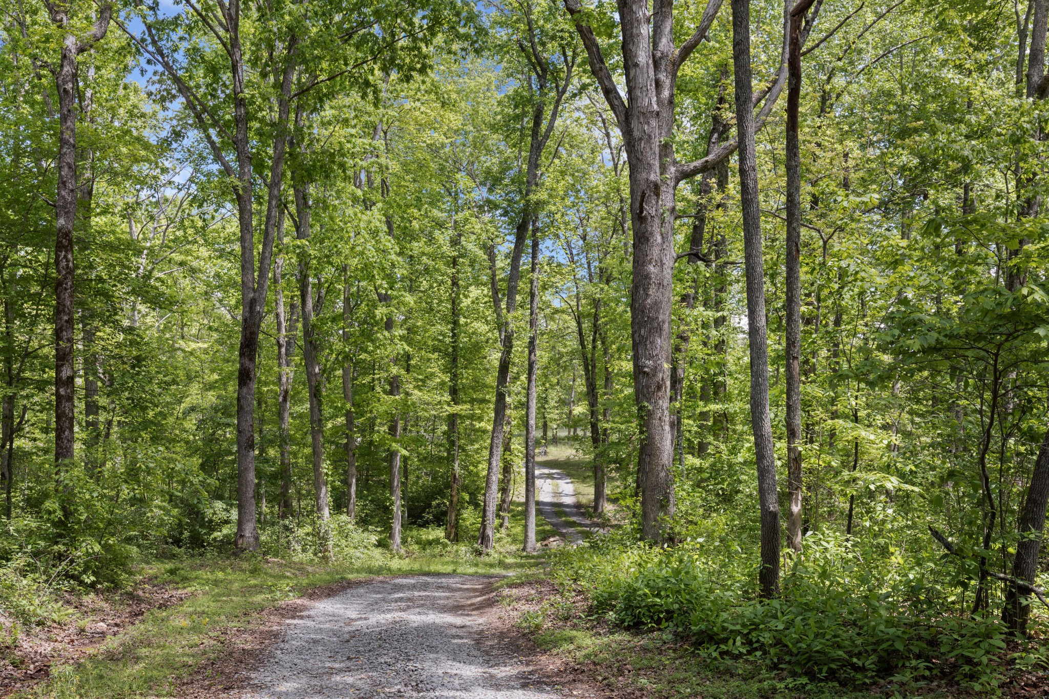 201 County Line Road